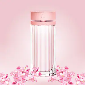 Perfume Tous L Eau | El Mejor Perfume