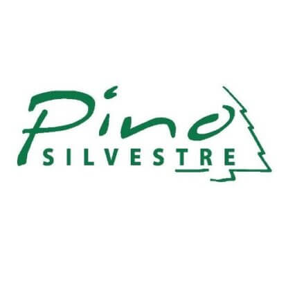 MARCA PINO SILVESTRE EL MEJOR PERFUME PERFUMES Y MARCAS